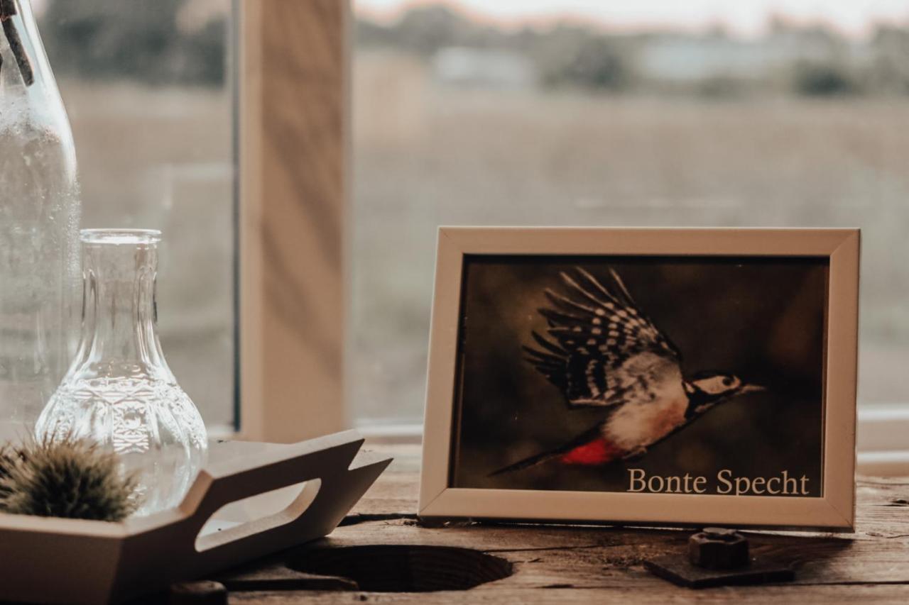 헤이수이엔 Hoeve Twente - De Bonte Specht 빌라 외부 사진