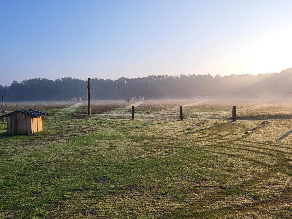 헤이수이엔 Hoeve Twente - De Bonte Specht 빌라 외부 사진