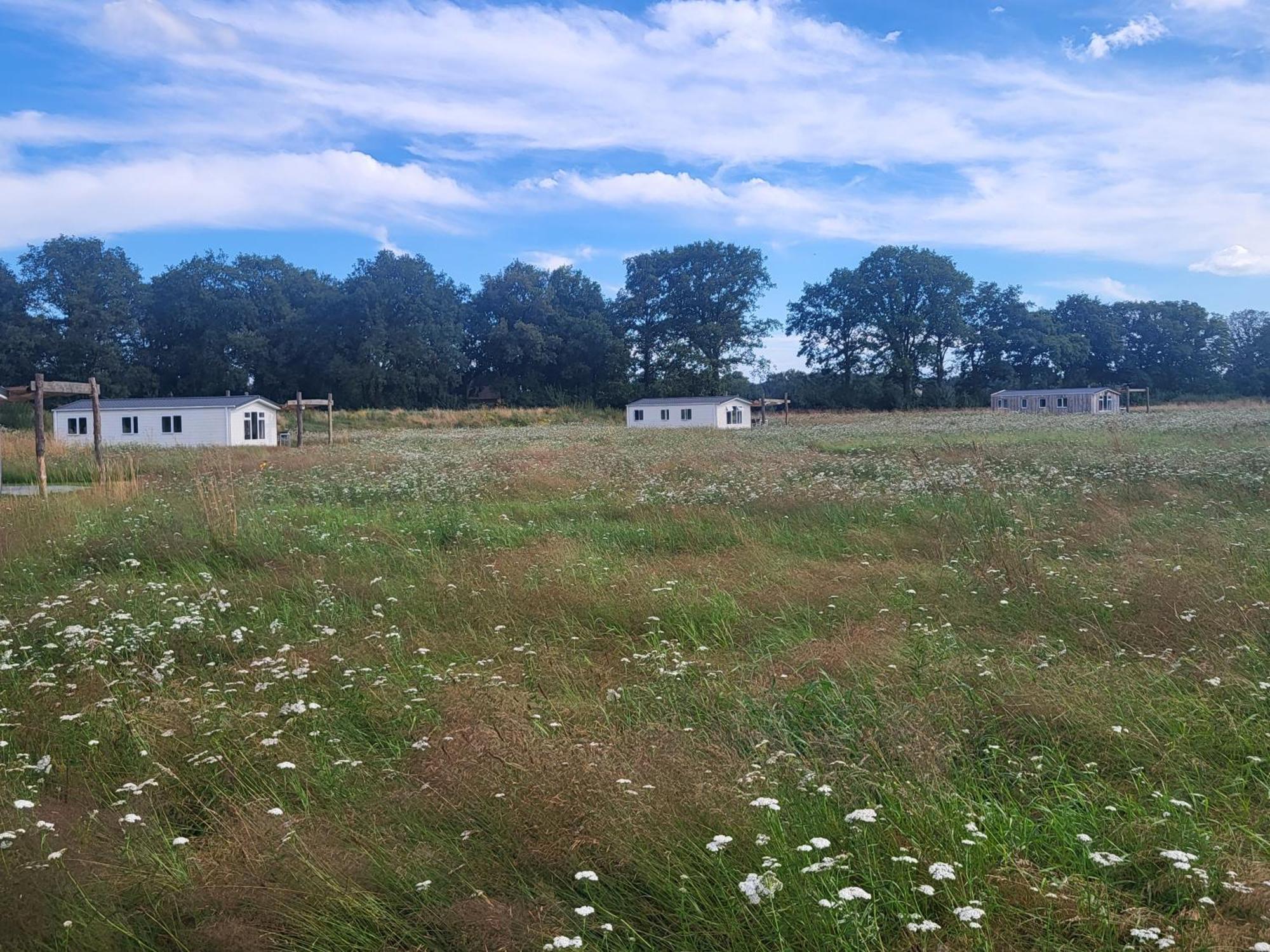 헤이수이엔 Hoeve Twente - De Bonte Specht 빌라 외부 사진