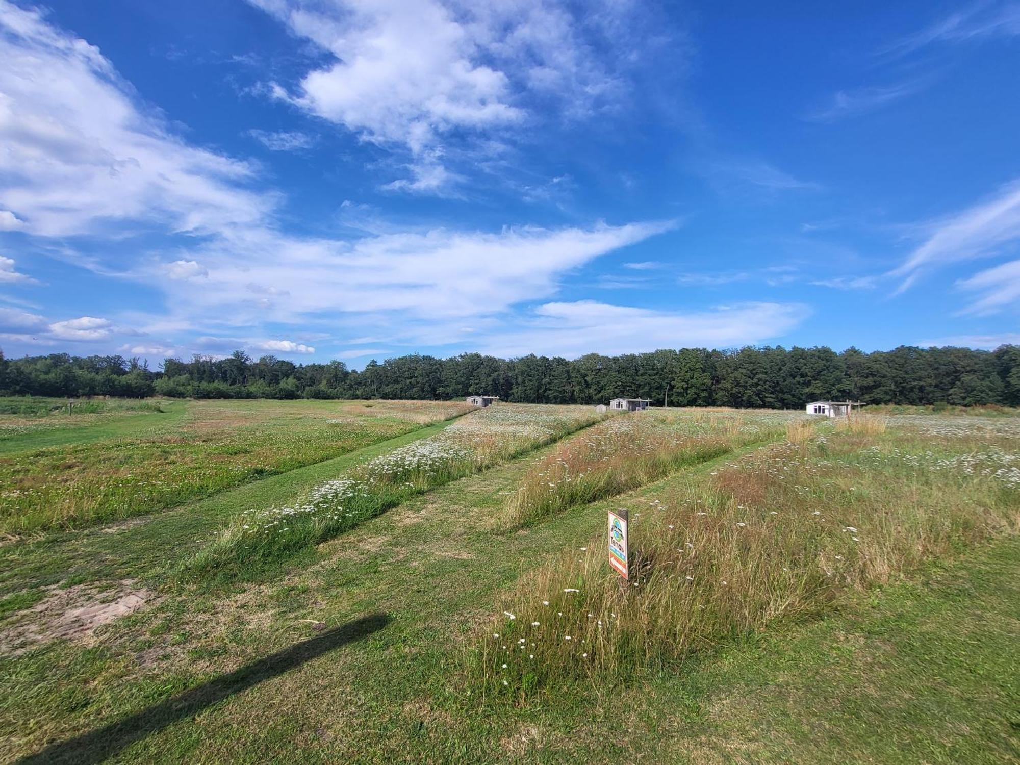 헤이수이엔 Hoeve Twente - De Bonte Specht 빌라 외부 사진