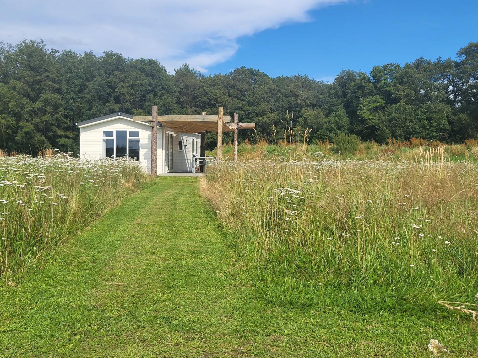 헤이수이엔 Hoeve Twente - De Bonte Specht 빌라 외부 사진